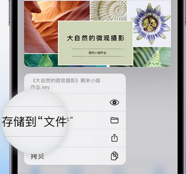 青白江apple维修中心分享iPhone文件应用中存储和找到下载文件