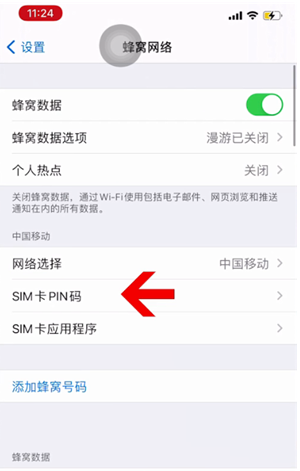 青白江苹果14维修网分享如何给iPhone14的SIM卡设置密码 