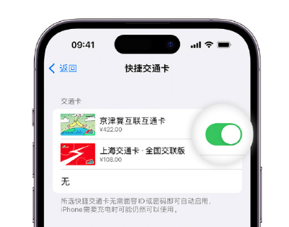 青白江apple维修点分享iPhone上更换Apple Pay快捷交通卡手绘卡面 