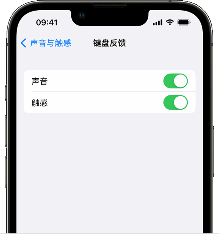 青白江苹果14维修店分享如何在 iPhone 14 机型中使用触感键盘 