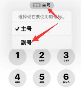 青白江苹果14维修店分享iPhone 14 Pro Max使用副卡打电话的方法 