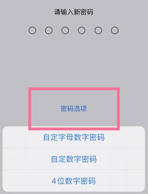 青白江苹果14维修分享iPhone 14plus设置密码的方法 