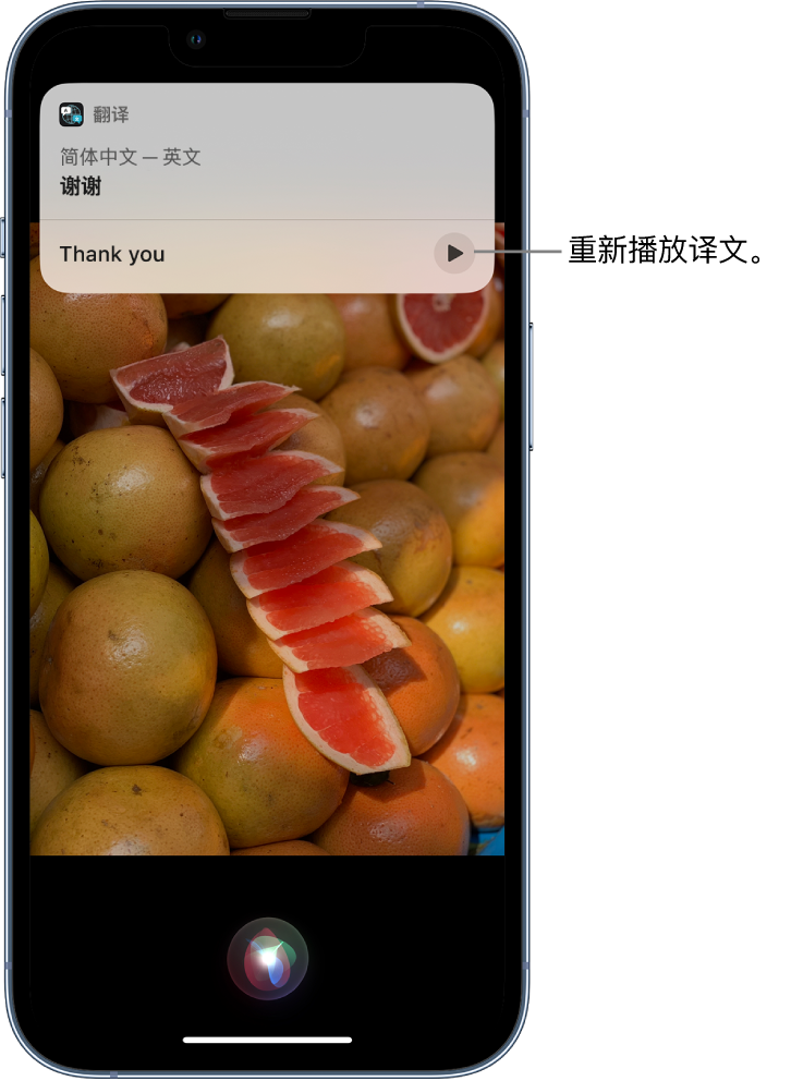 青白江苹果14维修分享 iPhone 14 机型中使用 Siri：了解 Siri 能帮你做什么 