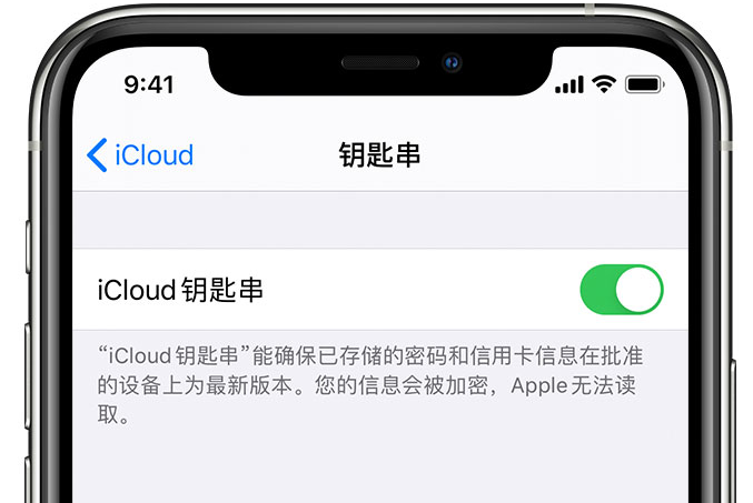 青白江苹果手机维修分享在 iPhone 上开启 iCloud 钥匙串之后会储存哪些信息 