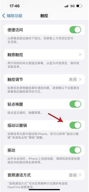 青白江苹果手机维修分享iPhone手机如何设置摇一摇删除文字 