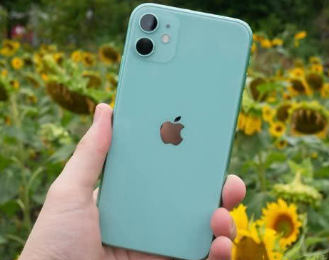 青白江苹果维修点分享iPhone 11锁屏密码认知与使用科普 